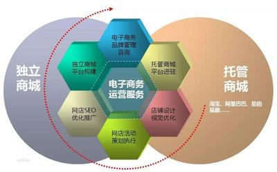 電子商務(wù)專(zhuān)業(yè) 實(shí)業(yè)運(yùn)營(yíng)與建設(shè)的就業(yè)新藍(lán)圖